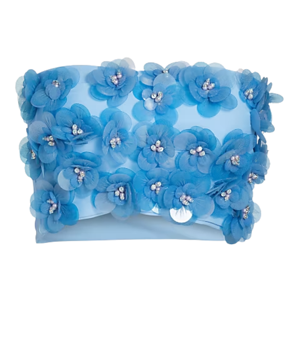 Mariandree Gaitan Movement Emily Embellished Flower Bandeau Crop Top