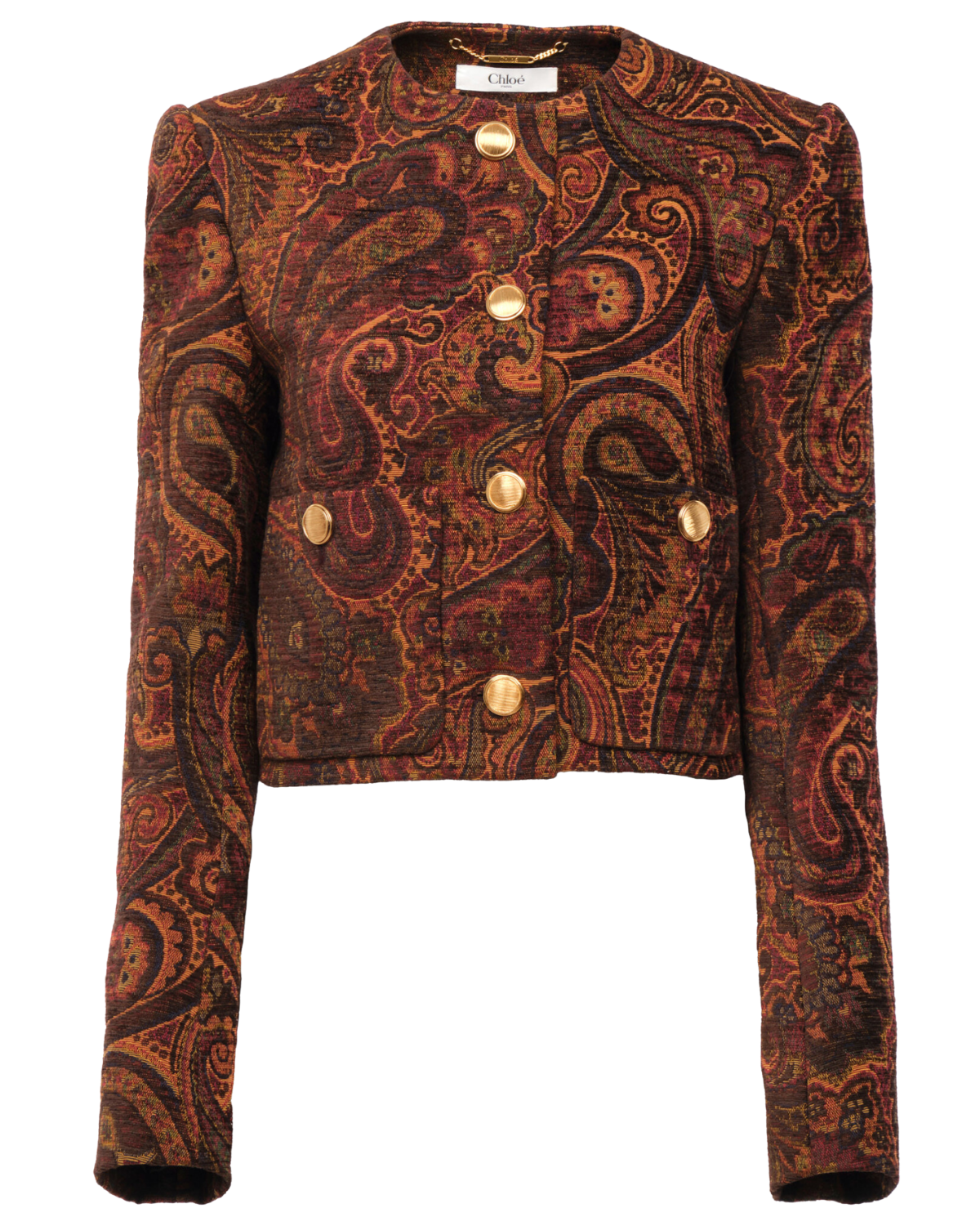 Moda Operandi (Global) Paisley Jacquard Jacket
