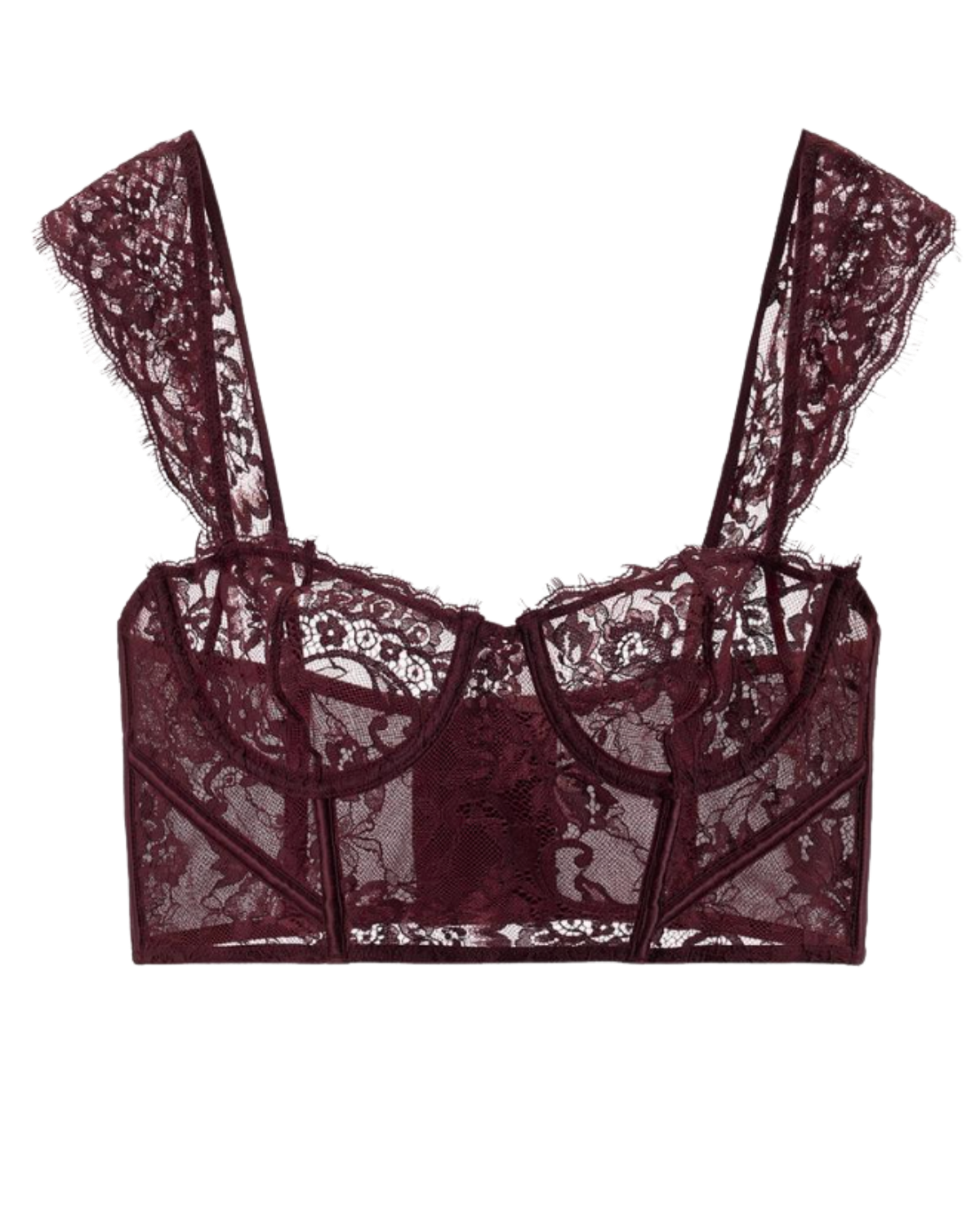 zara lace burgundy bra