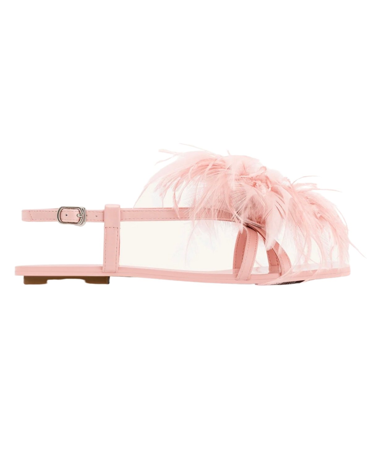 birdsofafeather00002