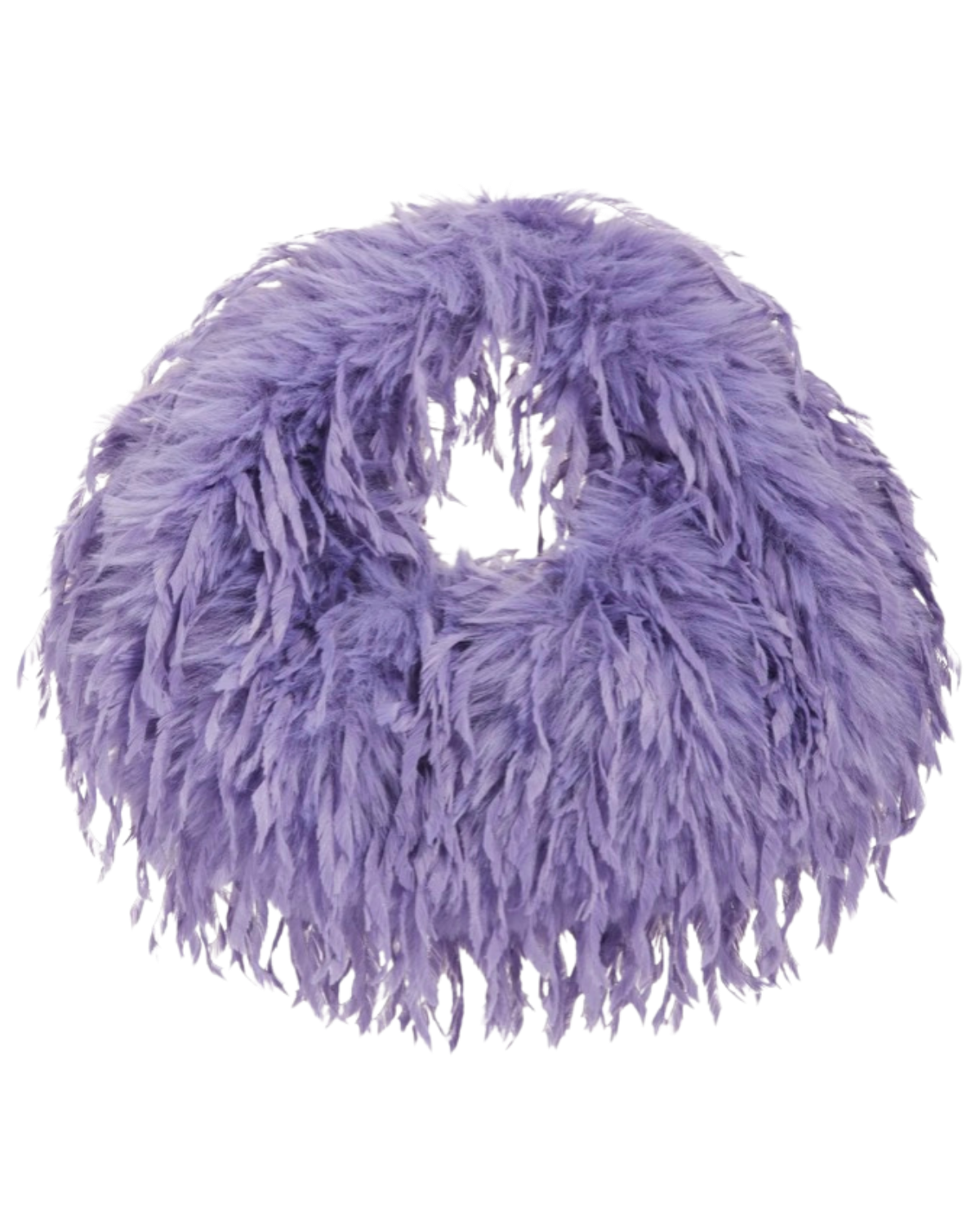 feathers00002