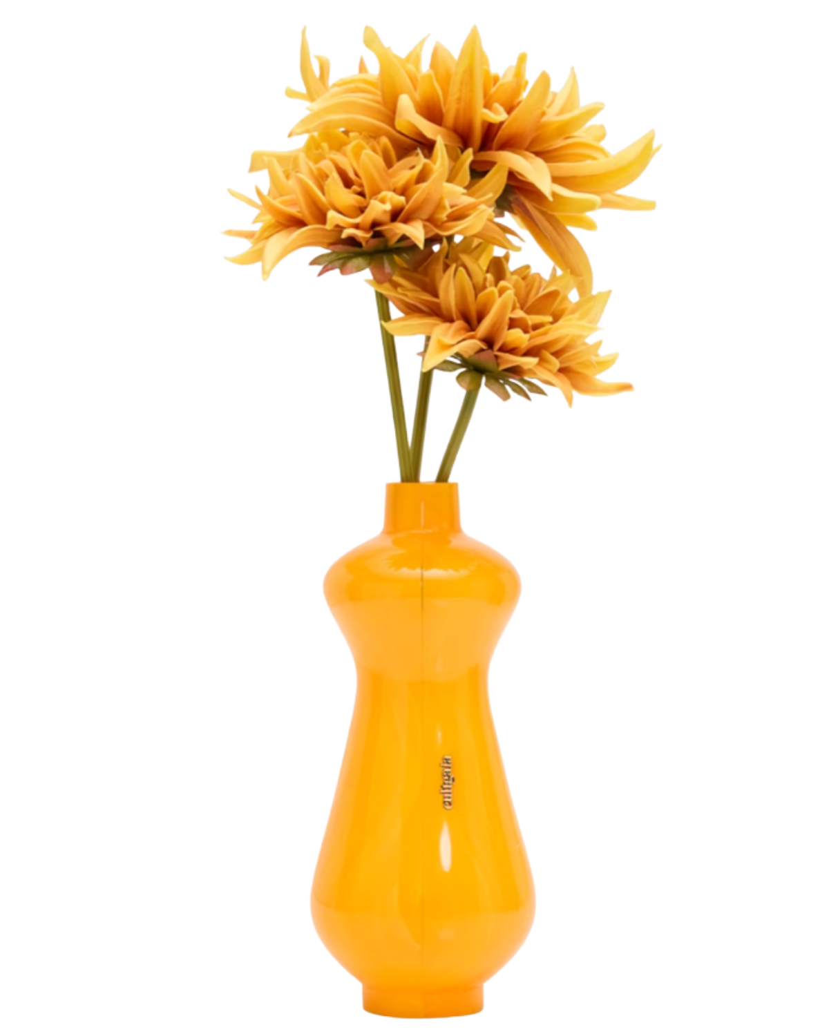 Marigoldpost00018