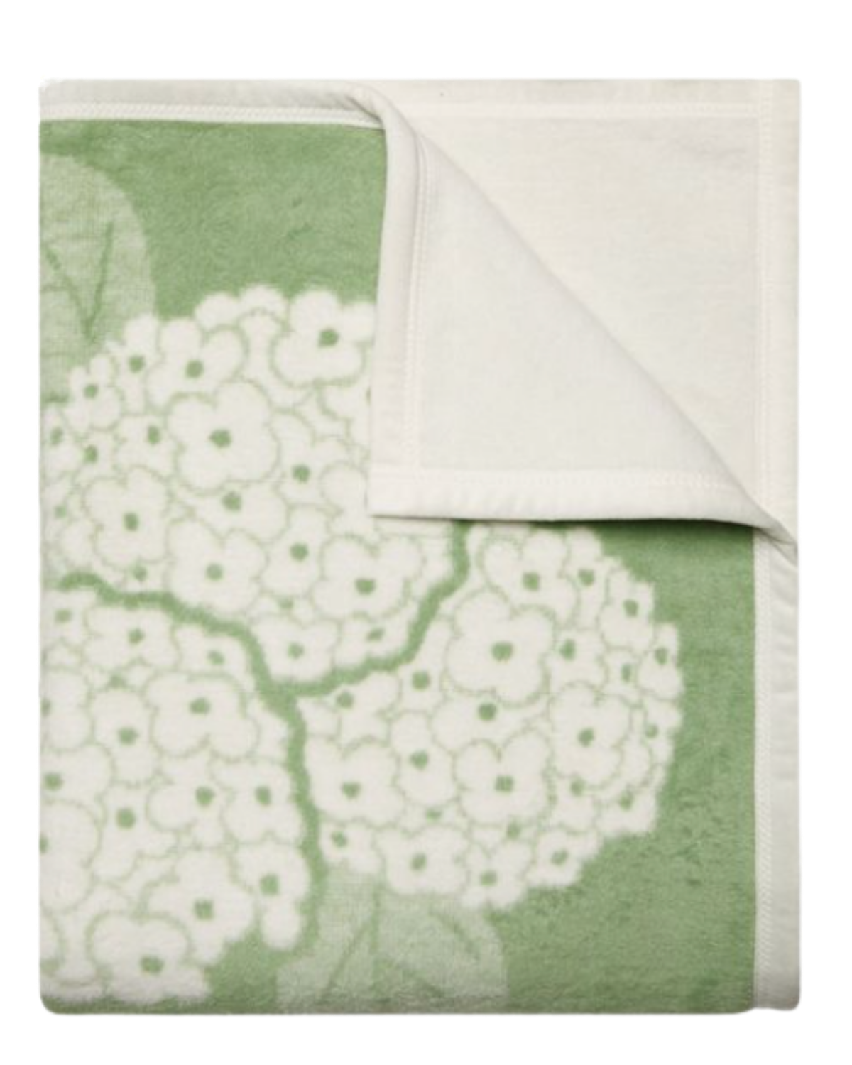 Hydrangeas Sage Blanket