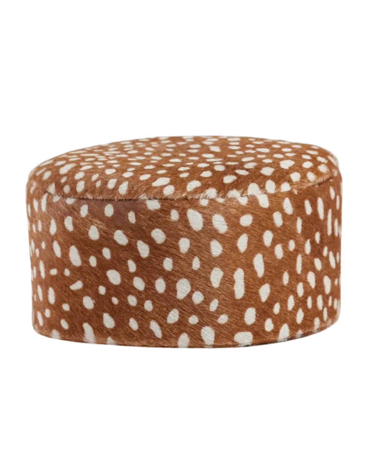 BambiPost1